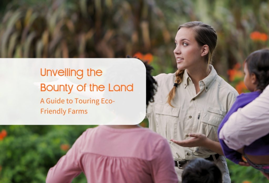 Unveiling the Bounty of the Land: A Guide to Touring Eco-Friendly Farms