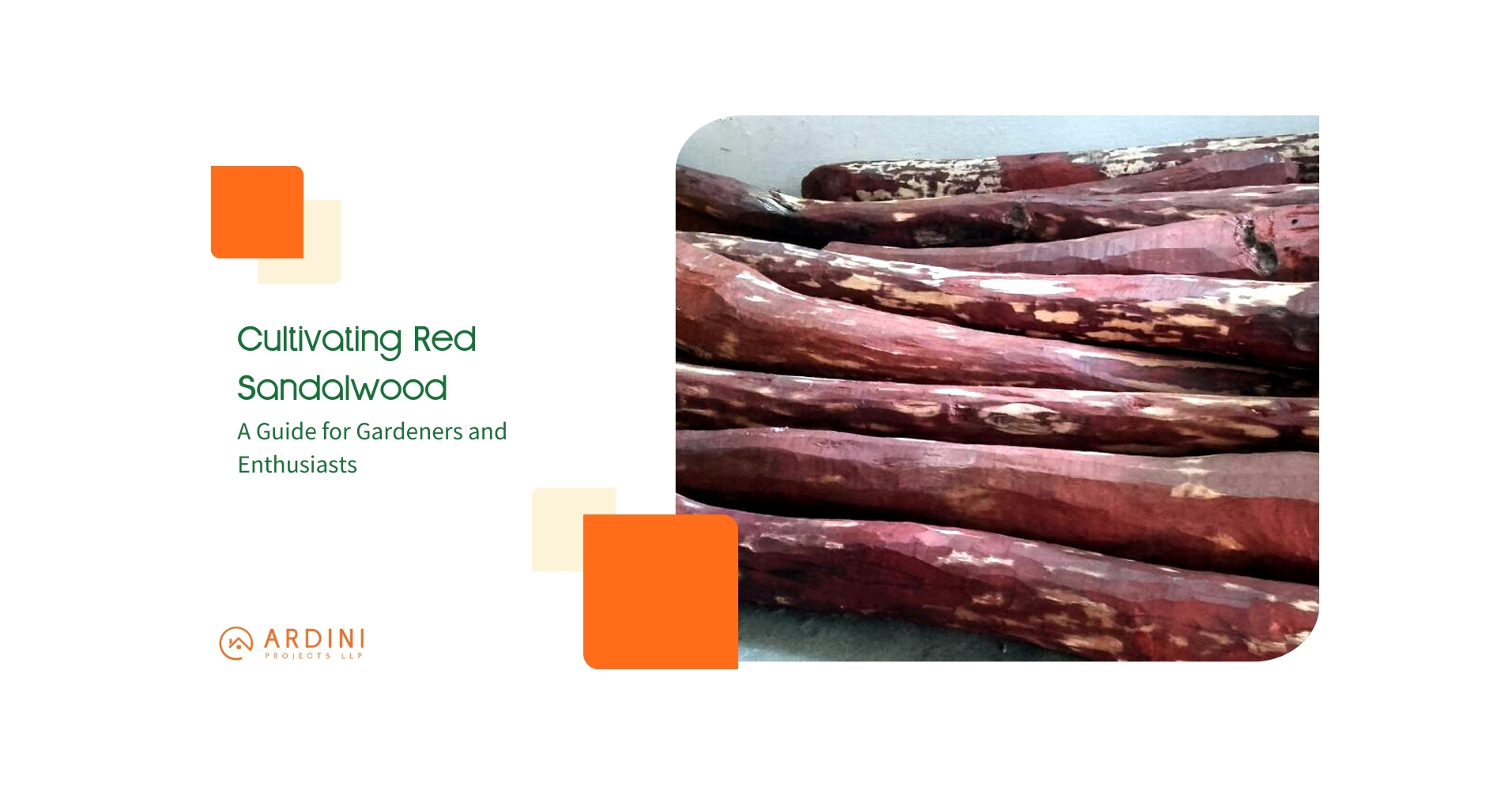 Red Sandalwood Farming