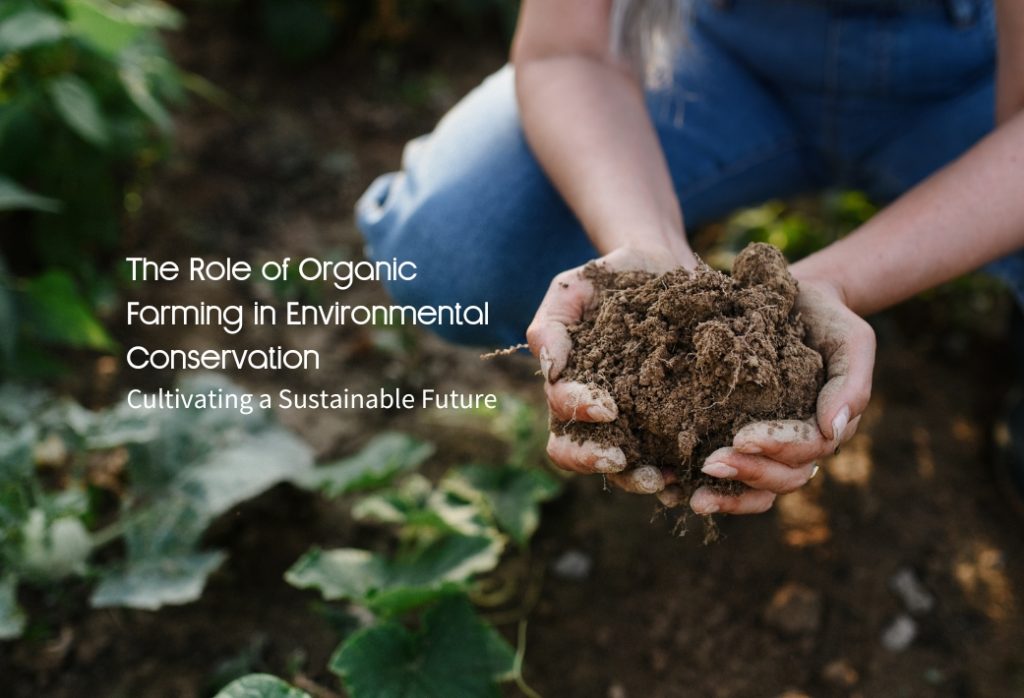 Role of Organic Farming