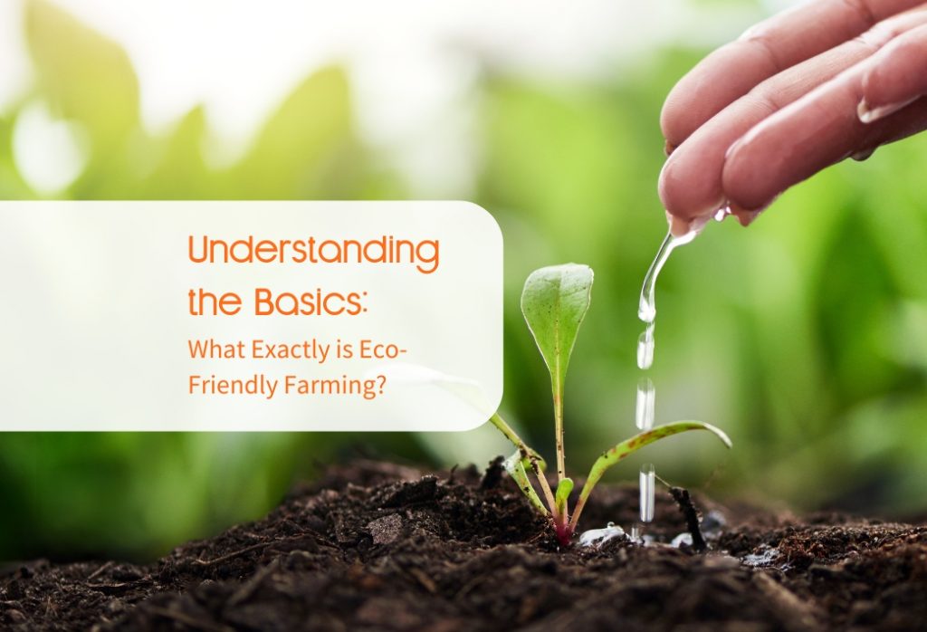 Understanding the Basics: What is Eco-Friendly Farming?