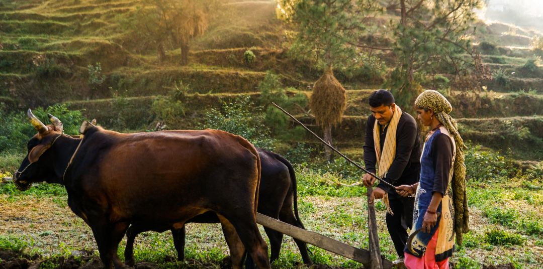 Benefits of managed farmland: Sustainable Practice