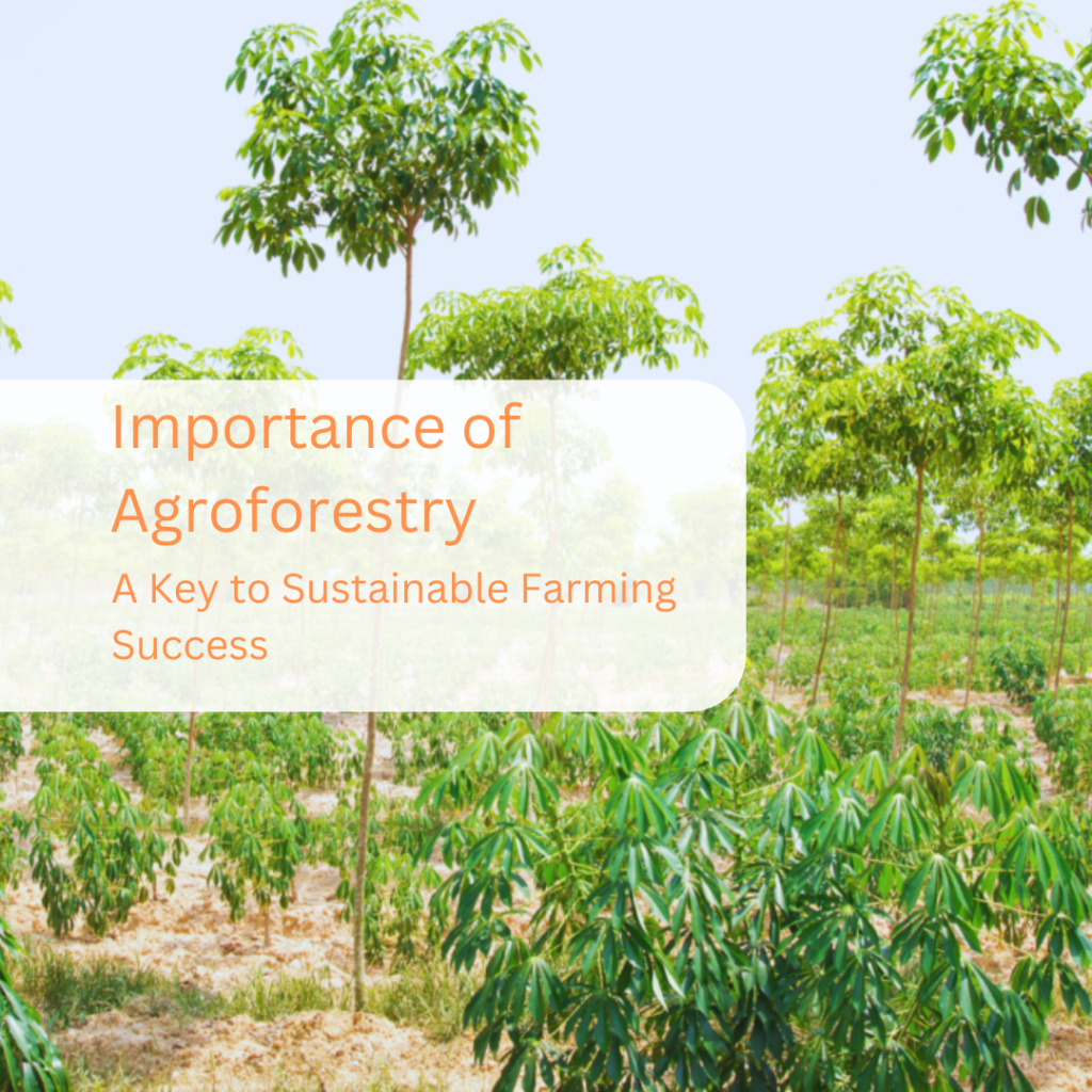 Importance of Agroforestry