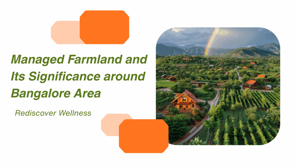 Farmland Managed Near Bangalore