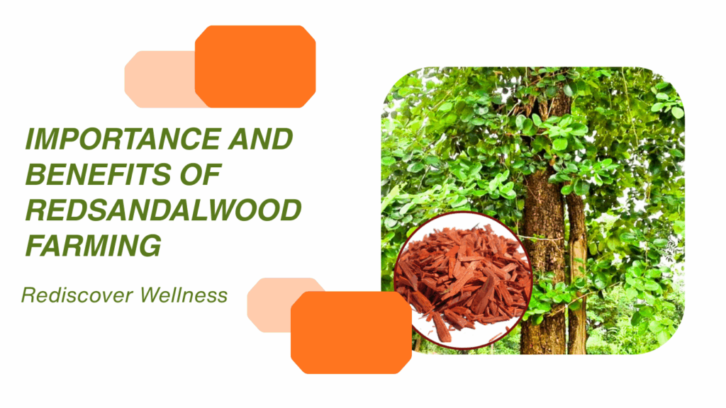 Res sandalwood Farming