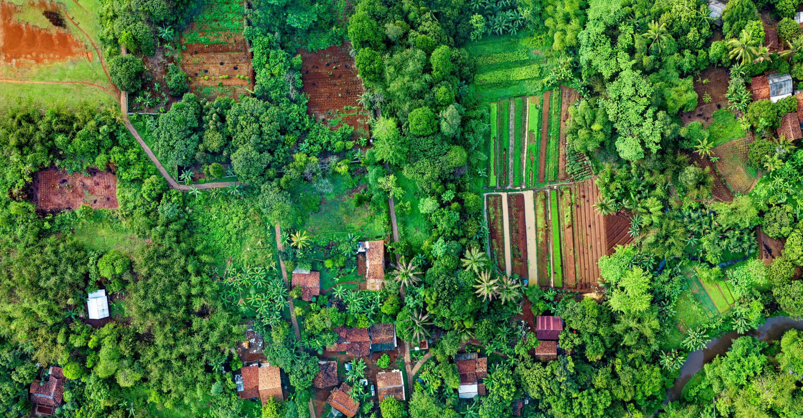Managed farmland near bangalore