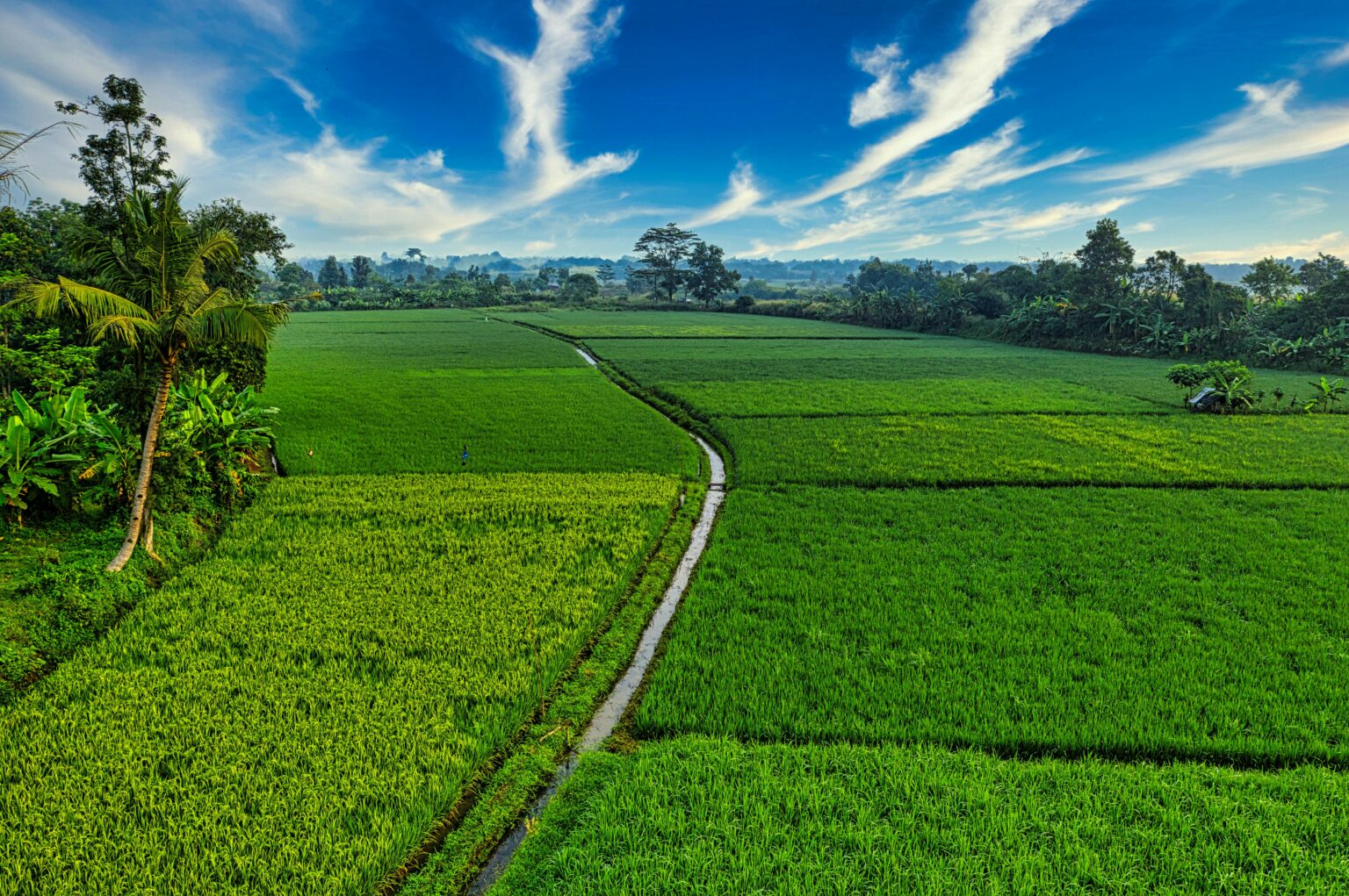 Managed farmland near Bangalore with greenery, plantation and cottages by Ardini Farms