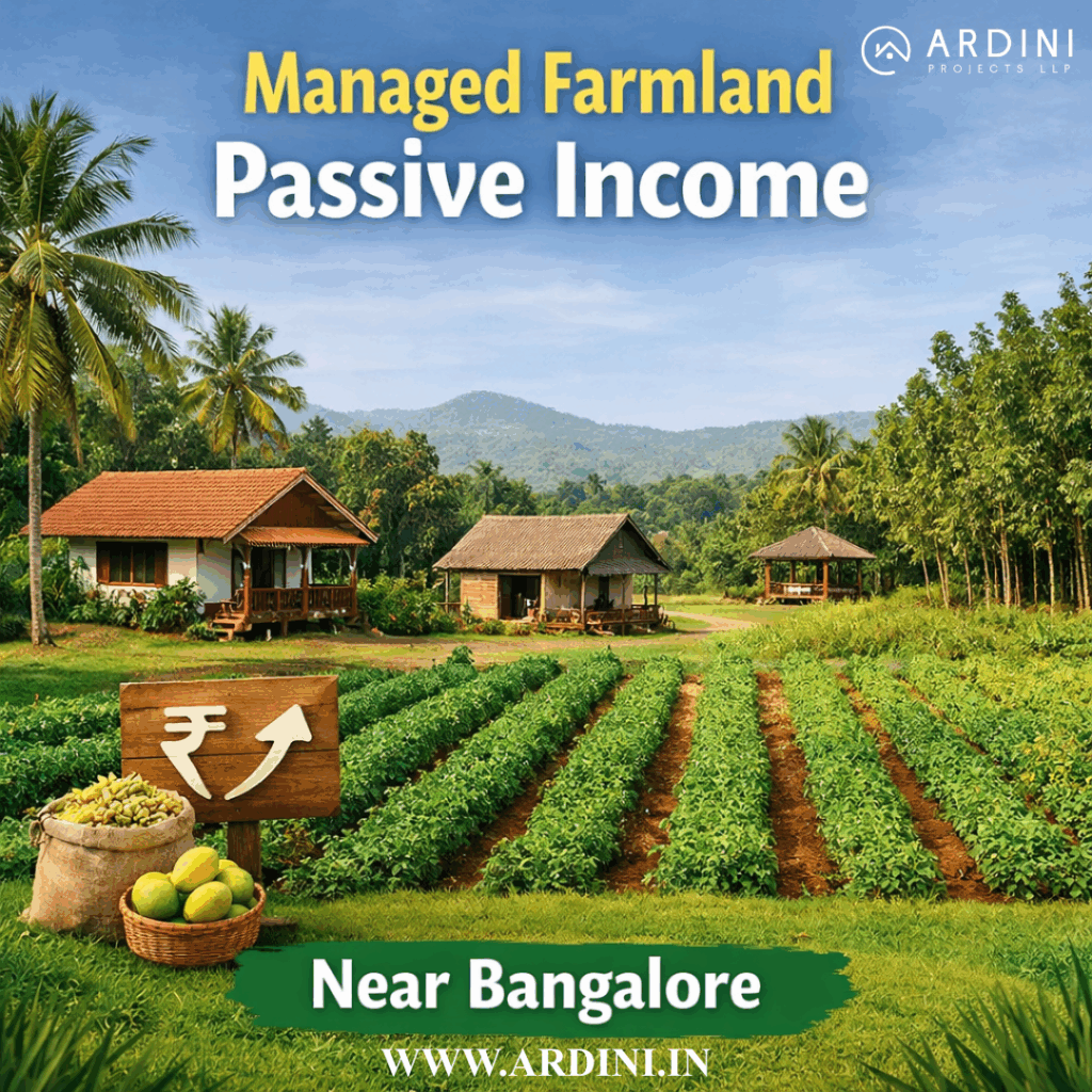 Managed farmland with greenery, generating passive income near Bangalore