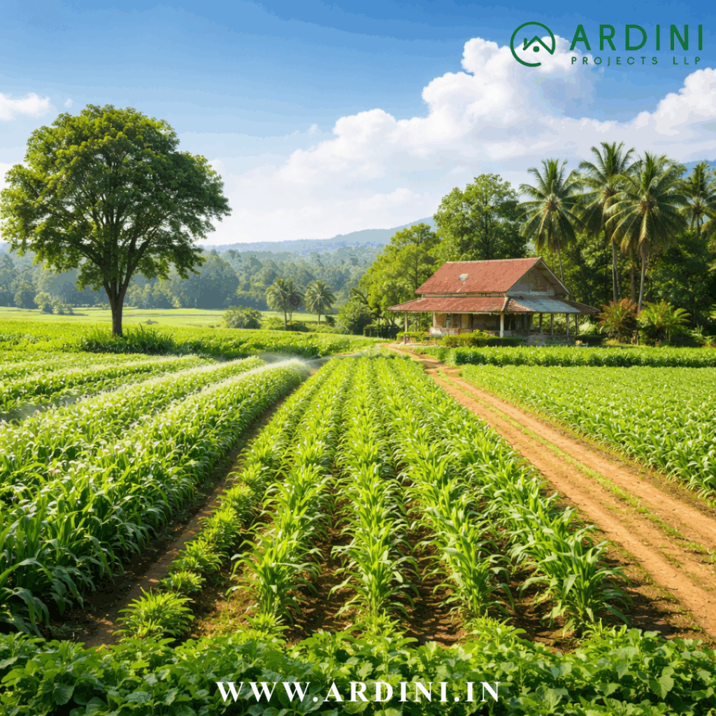 Agriculture farmland with green crops and farmhouse for investment