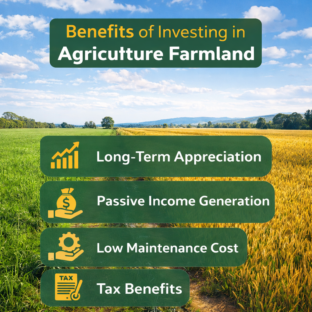 Benefits of Investing in Agriculture Farmland