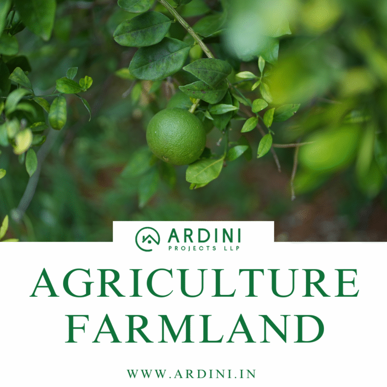 Agiculture Farmland