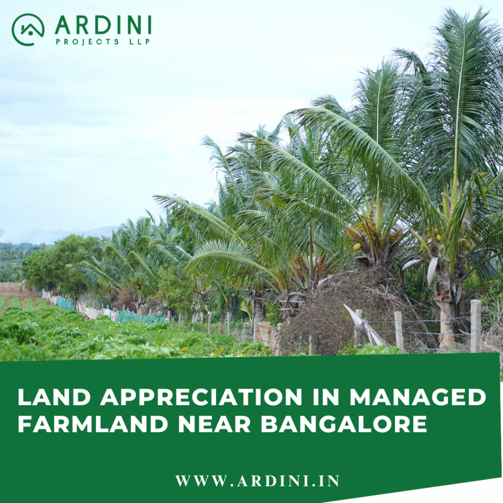 Land Appreciation in Managed Farmland Near Bangalore