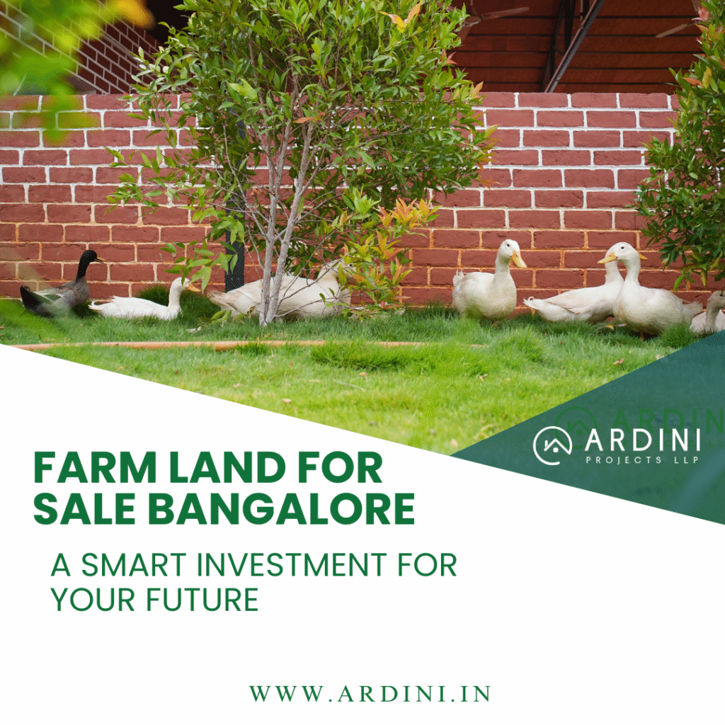 Farm Land for Sale Bangalore