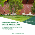 Farm Land for Sale Bangalore