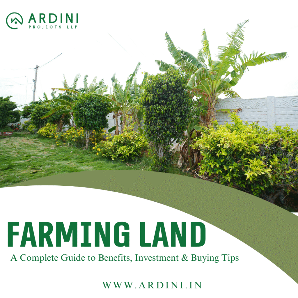 Farming Land