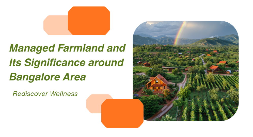 Managed Farmland In Bangalore