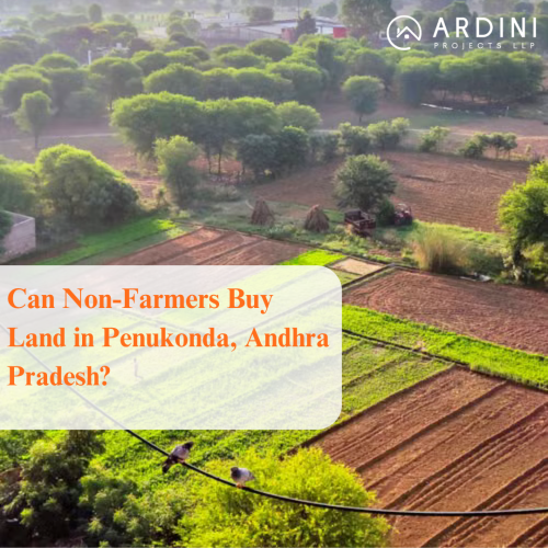 non-farmers buy land in Penukonda”