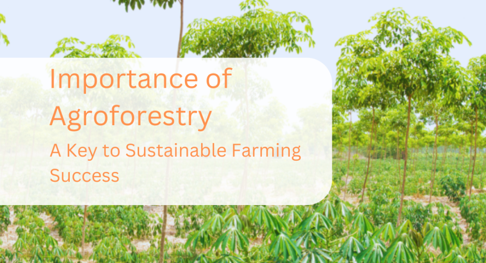 Importance of Agroforestry