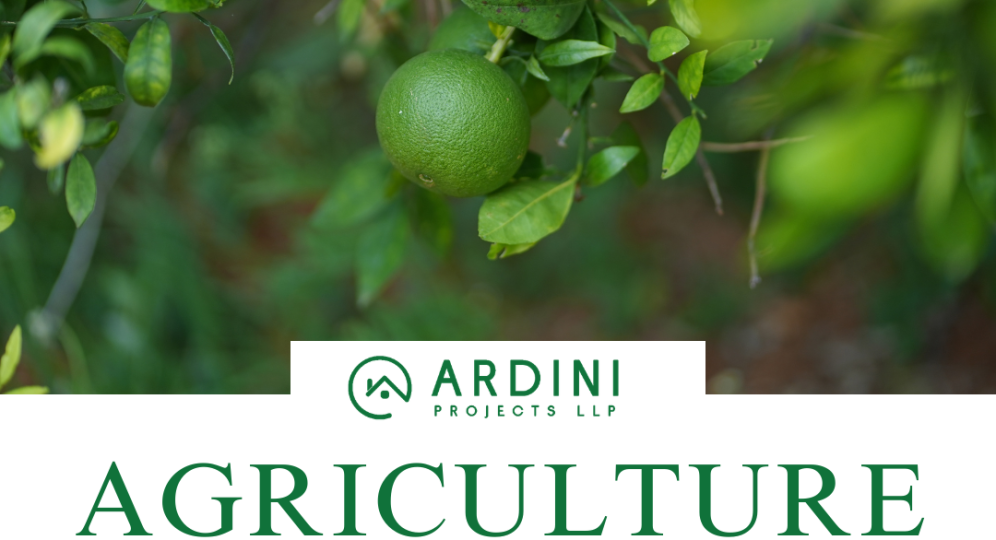 Agiculture Farmland